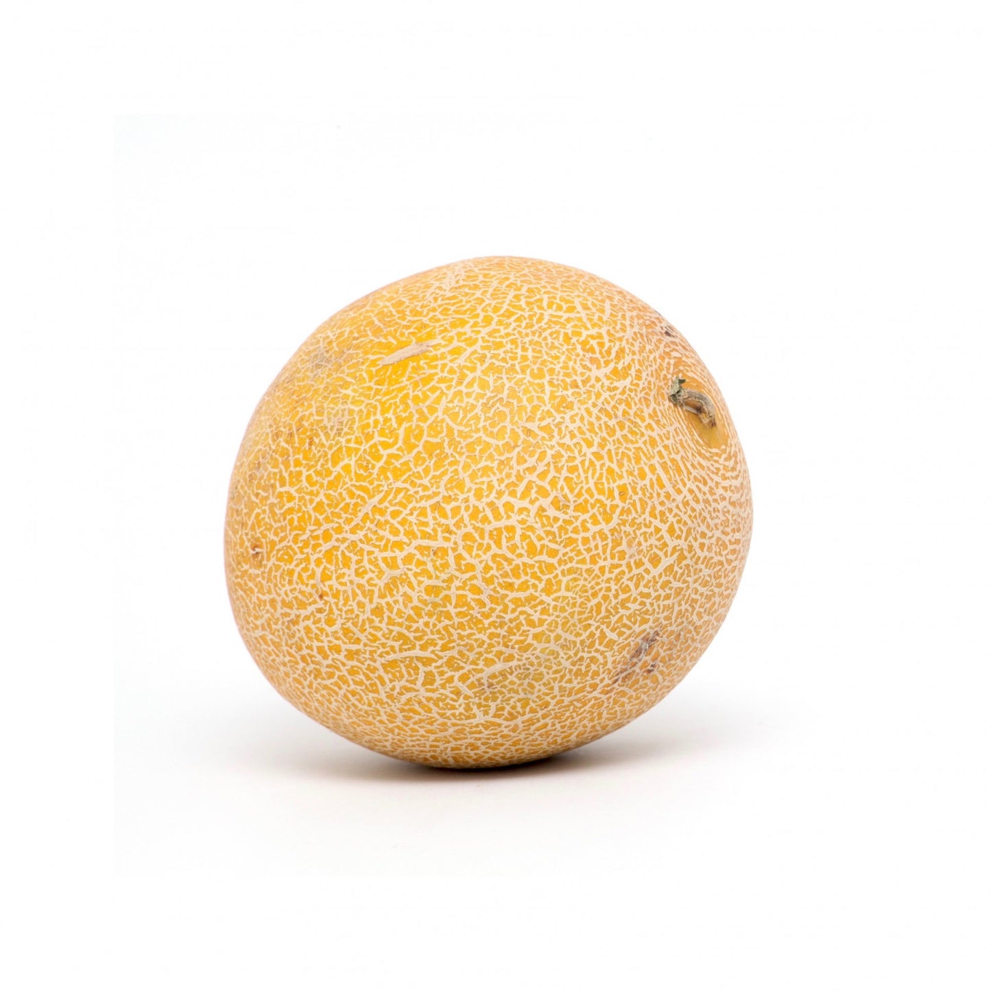 Melón Galia