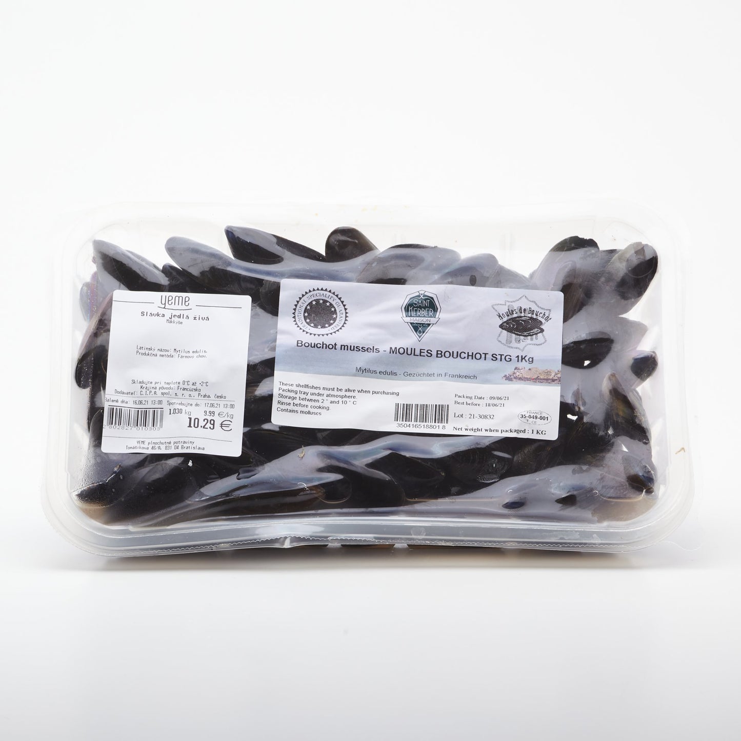 Slávka jedlá živá