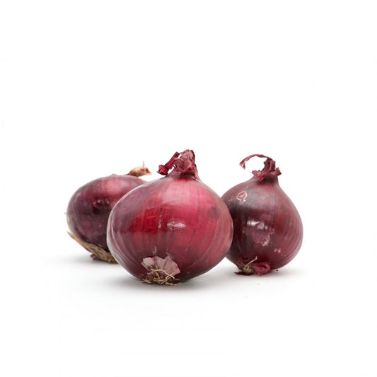 Cibuľa červená BIO
