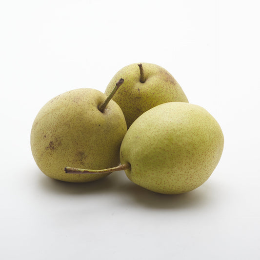Hruška Nashi