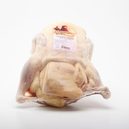 Kačica kŕmená s drobkami a pečienkou