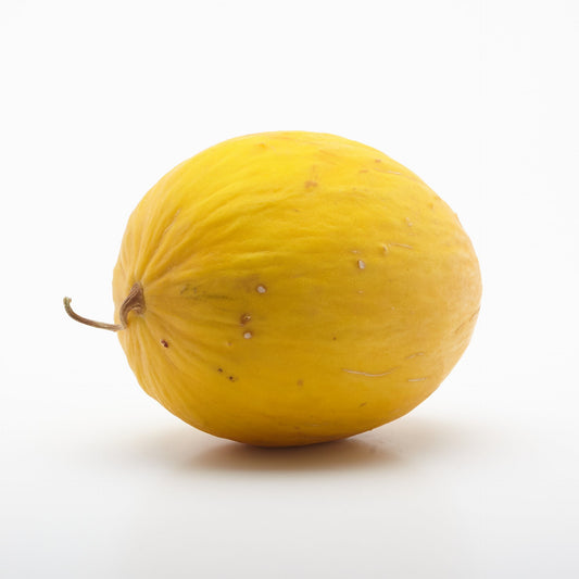 Melón žltý Honey Dew