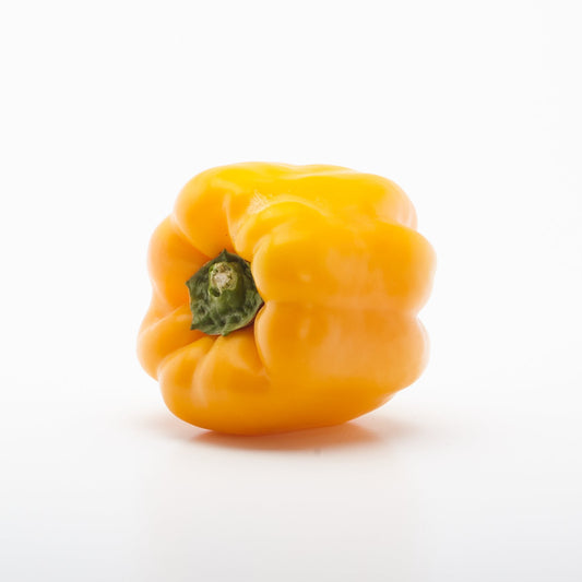 Paprika kalifornia žltá BIO